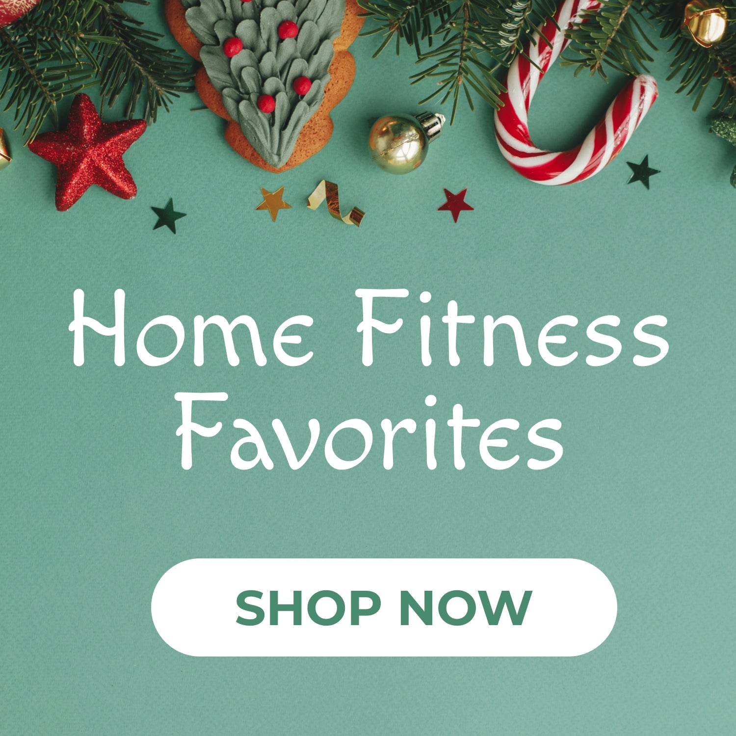 Holiday Fitness Favorites