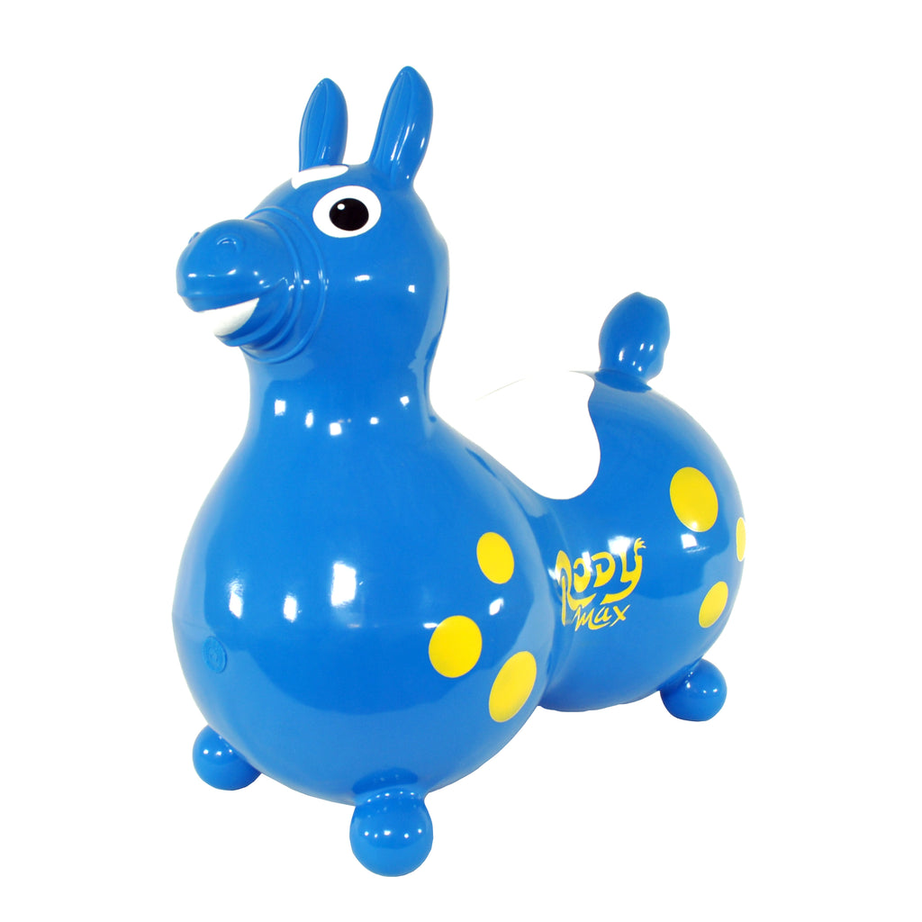 Rody pump store